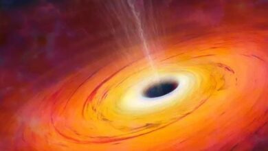 Photo of Agujeros negros primordiales: el secreto que podrían esconder el Sol y otras estrellas