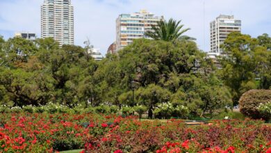 Photo of Verde urbano: cuánto cuesta alquilar cerca de los 6 parques más emblemáticos de América Latina y por qué el de Buenos Aires encabeza el ranking