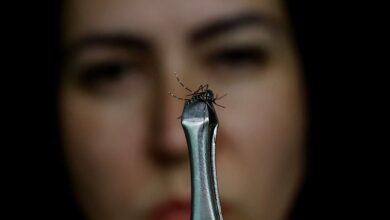 Photo of Brasil empieza la vacunación masiva contra el dengue en medio de un récord histórico de casos