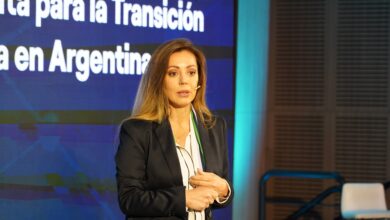 Photo of Flavia Royón, exsecretaria de Minería: “Caputo me dijo que estaba haciendo un excelente trabajo, pero cuestiones políticas impedían mi continuidad”