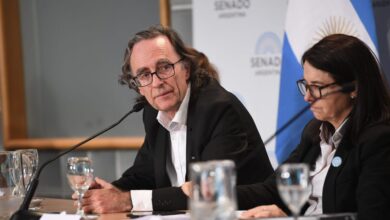 Photo of El ex titular de la ANSES explicó su salida del Gobierno tras la caída de la Ley Ómnibus: “Inesperado y abrupto final”