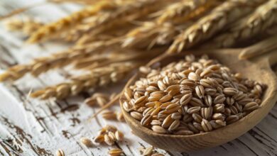 Photo of Cuáles son los beneficios de la cebada, el cereal que ayuda a controlar el nivel de azúcar en la sangre