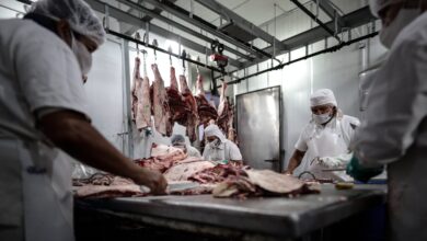 Photo of El Gobierno argentino consiguió el permiso de Israel para exportar carne kosher con hueso