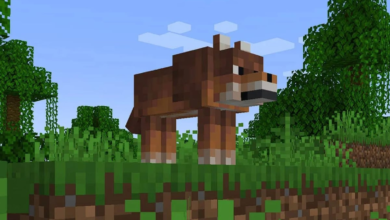Photo of Minecraft trae nuevas razas de lobos que pueden domesticarse, cuáles son