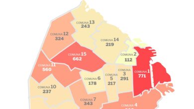 Photo of El mapa del dengue en la Ciudad de Buenos Aires: cuáles son los barrios más afectados