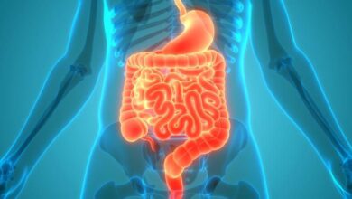 Photo of Incluso un ligero aumento en un microbio intestinal podría mantenerte fuera del hospital