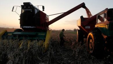 Photo of La Sociedad Rural se metió en la polémica por la suba de impuestos en Buenos Aires y alertó que los productores atraviesan “una situación crítica”
