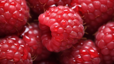 Photo of Cuáles son las mejores frutas para reducir la inflamación