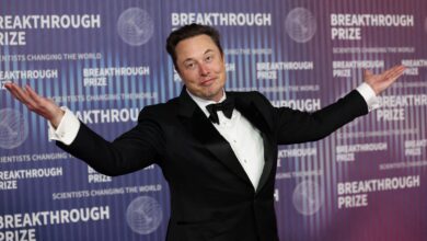 Photo of Elon Musk: la inteligencia artificial será superior a cualquier humano en 2025