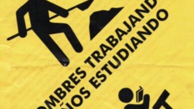 Photo of La Casa Rosada rechazó los dichos de Benegas Lynch sobre la educación: “Su opinión no coincide con la del Gobierno”