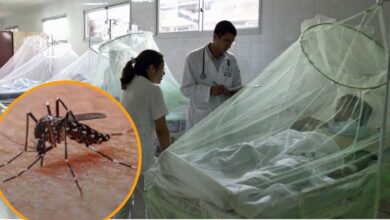 Photo of “Fiebre quebrantahuesos”: cuándo sospechar que tenés dengue, explicado por un especialista en un video viral