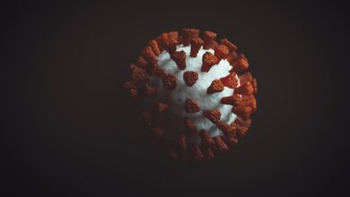 Photo of Un hombre generó docenas de mutaciones del virus de COVID