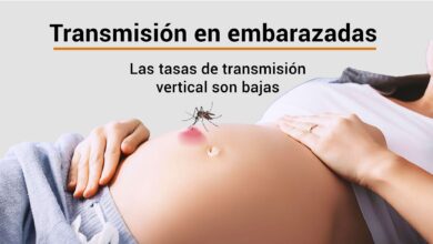 Photo of Cuáles son los riesgos de contraer dengue en el embarazo