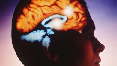 Photo of Un innovador procedimiento médico podría reducir las convulsiones en pacientes con epilepsia, según un estudio