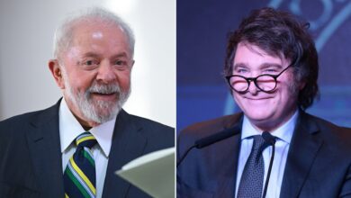 Photo of Pese a las diferencias entre Milei y Lula, Mondino aseguró que “Brasil es indiscutible como socio comercial”