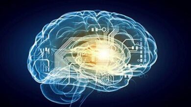 Photo of Cómo funciona la “brújula neuronal” del cerebro y por qué es esencial en la vida diaria