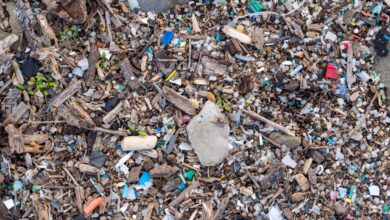 Photo of ¿Cuánto plástico consumimos por semana sin darnos cuenta?