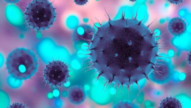 Photo of El virus de la gripe estacional con una doble mutación podría ser resistente a los medicamentos