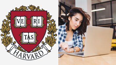 Photo of Cinco cursos de Harvard para aprender sobre inteligencia artificial y tener un mejor trabajo