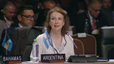 Photo of Diana Mondino pidió ante la OEA una solución al conflicto de las Islas Malvinas y el reclamo fue aprobado por aclamación