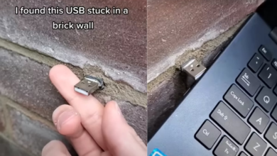 Photo of Youtuber descubrió una USB en la calle y se encontró con un archivo inesperado y cómico