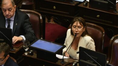 Photo of Durísimo discurso de una senadora de Unión por la Patria contra Javier Milei