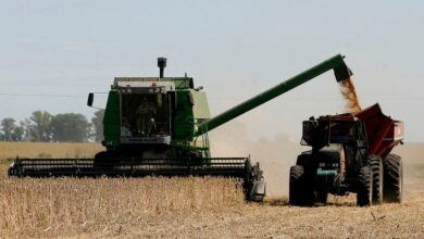 Photo of Logística en el agro: un motor para el desarrollo y la competitividad con foco en los servicios al productor