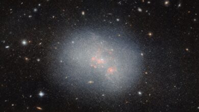 Photo of El Telescopio Hubble descubrió una posible fusión galáctica