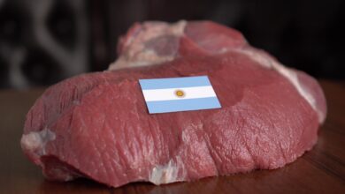 Photo of Proyectan un fuerte aumento de las importaciones chinas de carne: qué impacto tendría en la Argentina