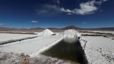 Photo of Cuáles son los sectores de la economía que esquivan la recesión