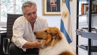 Photo of Milei le ofreció a Alberto Fernández adoptar a su perro Dylan, en medio de las denuncias por violencia y corrupción