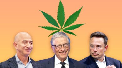 Photo of Top 5 de los líderes de tecnología que aprueban la marihuana: Bill Gates y Musk son protagonistas