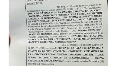 Photo of La jueza riojana Norma Abate de Mazzucchelli fue destituida por mal desempeño, conducta lesiva para los intereses de la sociedad e indignidad moral