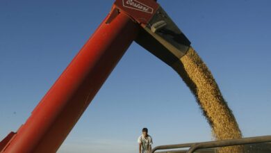 Photo of Luces rojas en el agro: según un informe, hay 10 economías regionales en crisis