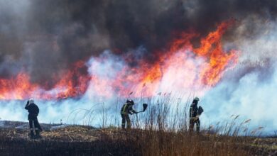 Photo of El humo de los incendios forestales podría dañar la salud mental de los niños