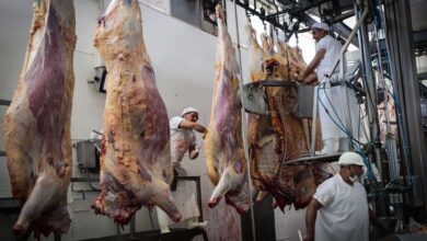 Photo of La otra cara de la China-dependencia: en julio las exportaciones de carne vacuna cayeron 14%, debido al desplome de las ventas al gigante asiático