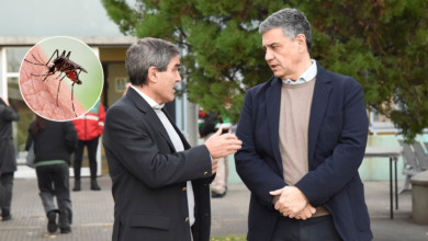 Photo of El gobierno de CABA anunció la compra de 60 mil vacunas contra el dengue: quiénes y cuándo podrán sacar turno