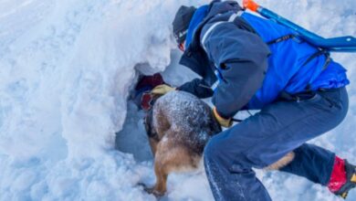 Photo of Cuánto tiempo puede sobrevivir un ser humano bajo una avalancha de nieve