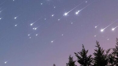 Photo of Oriónidas 2024: ¿cuándo puede verse esta lluvia de estrellas en la Argentina?