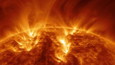 Photo of La NASA pronosticó cuándo se extinguirá el sol