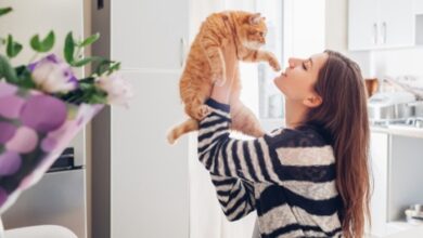 Photo of Vivir con un gato puede mejorar tu bienestar cerebral y emocional