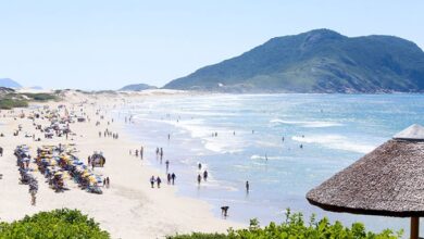 Photo of Diarrea viral en Florianópolis: las recomendaciones para los turistas