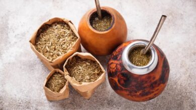 Photo of Especialistas del CONICET descifraron el genoma de la yerba mate