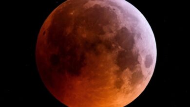 Photo of Eclipse lunar total: “Luna de Sangre” y cómo verla desde la Argentina