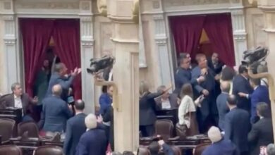 Photo of Escándalo: Zago y Almirón a los golpes en la Cámara de Diputados