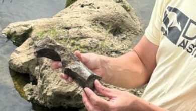 Photo of Gualeguaychú: hallan fósiles de por lo menos 10 mil años de antigüedad