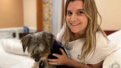 Photo of La importancia de las visitas de perros a pacientes internados