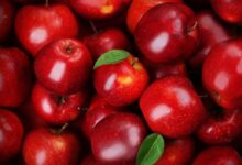 Photo of Comer manzanas podría ayudar a controlar la presión arterial