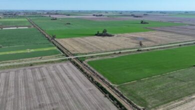 Photo of Scaglia y Enrico destacaron la puesta en marcha de la limpieza del Canal Los Llanos en Gálvez