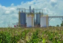 Photo of Productores de biodiesel alertan por crisis y apuntan al Gobierno